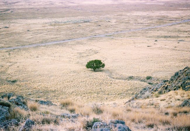 desert, arid land, landscape-5507220.jpg